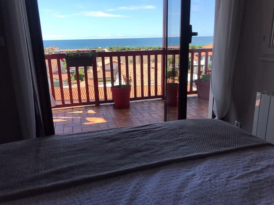 Bel Appartement Tout Confort En Bord Des Plages Anglet Eksteriør billede